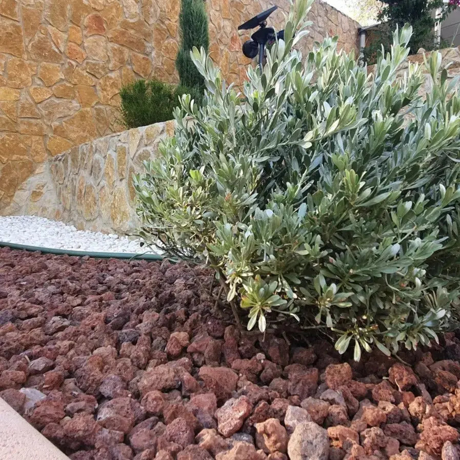 Grava Volcánica Roja