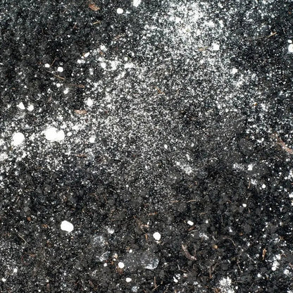 Cal Agricola Dolomita Plus