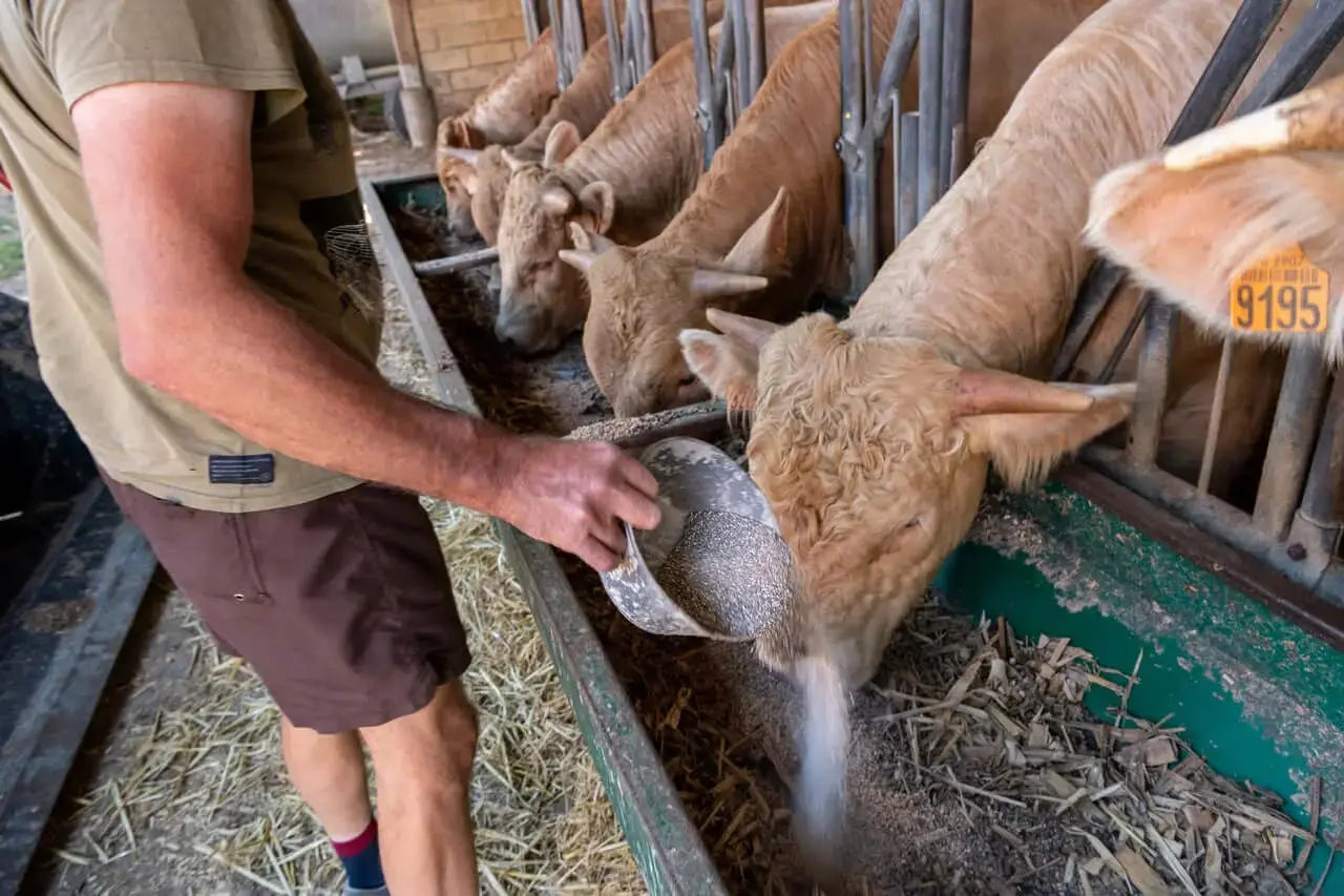 Bentonita Calcica Agricultura