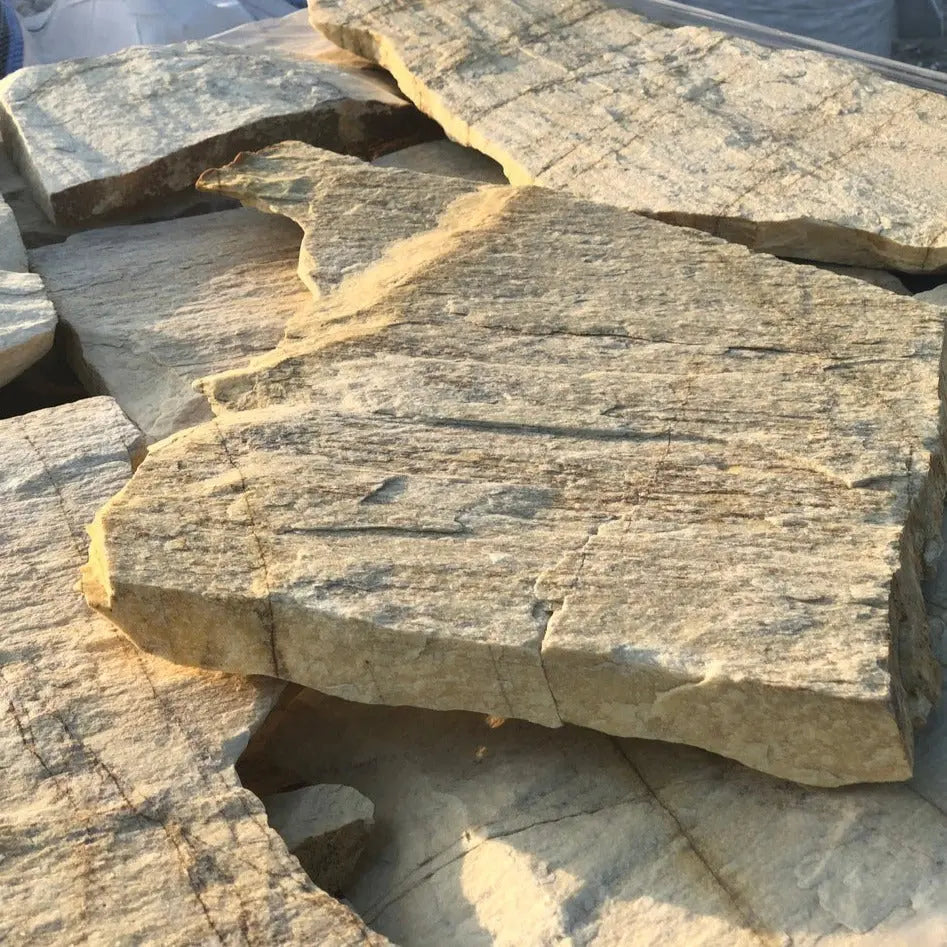 Planchoncillo Amarillo