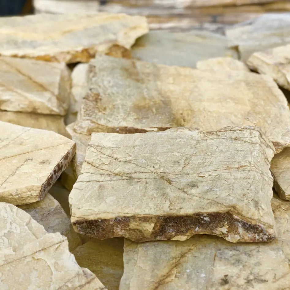 Planchoncillo Amarillo