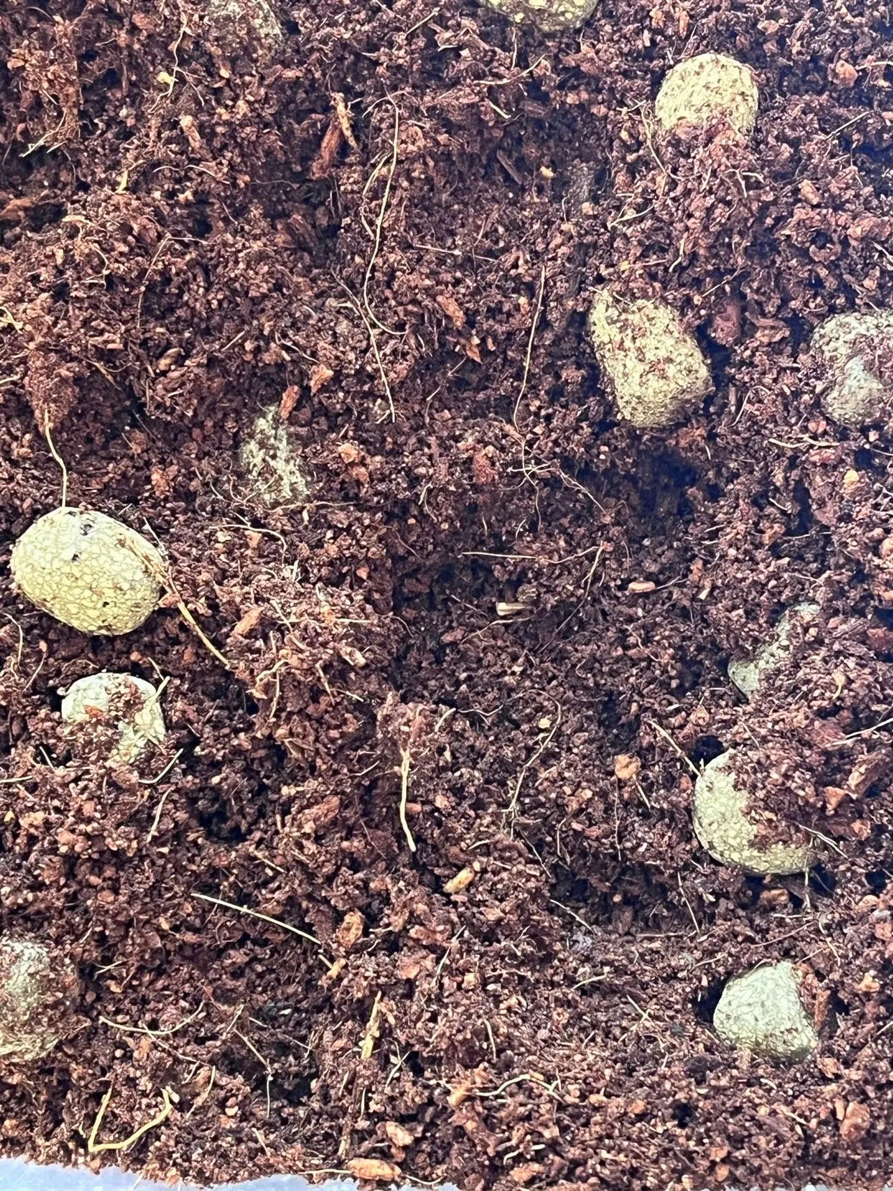 Sustrato Hidropónico | 60% Fibra Coco y 40% Arcilla expandida