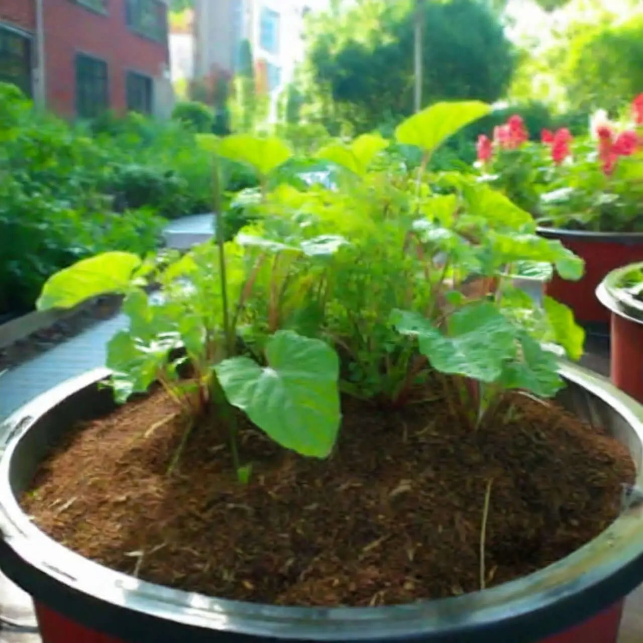 Sustrato Fibra de Coco