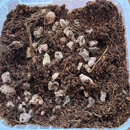 Sustrato hidropónico | 60% Fibra Coco + 40% Grava Volcánica