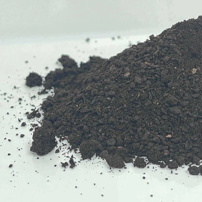 Sustrato Especial Plantas Acidófilas