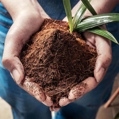 Sustrato Fibra de Coco