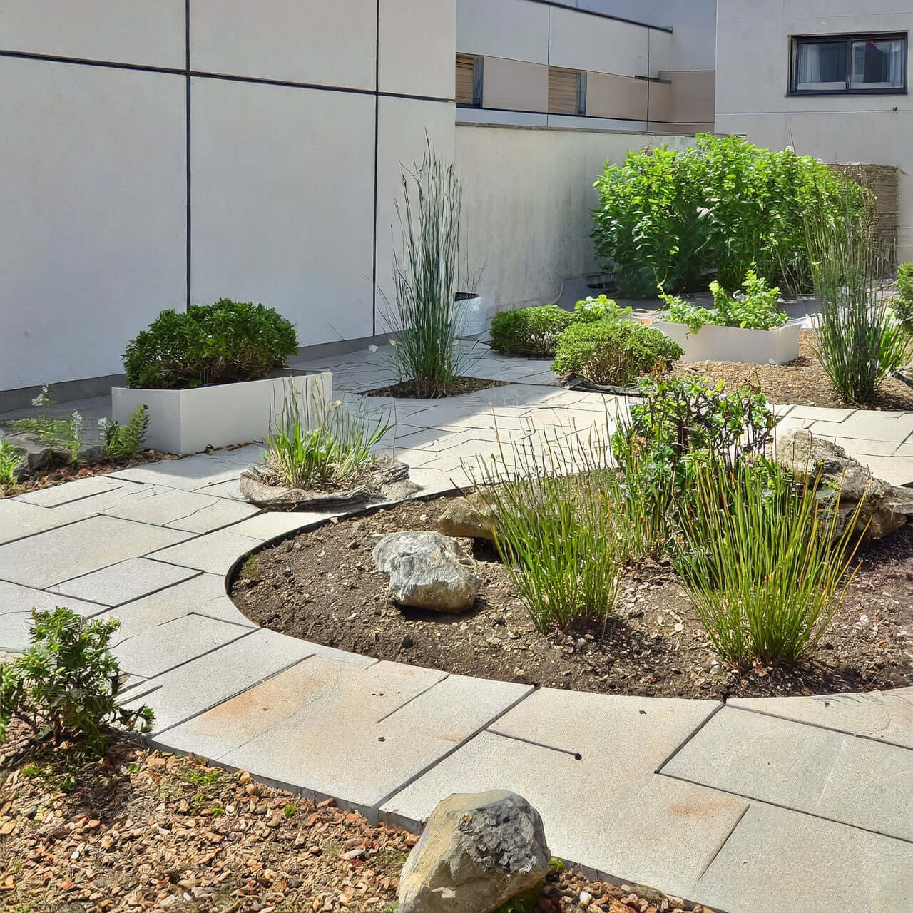 Sustrato Básico Jardín