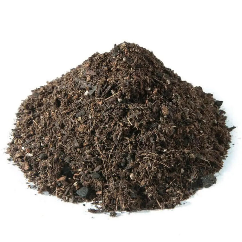 Sustrato Organico Tur bas Rubia Negra